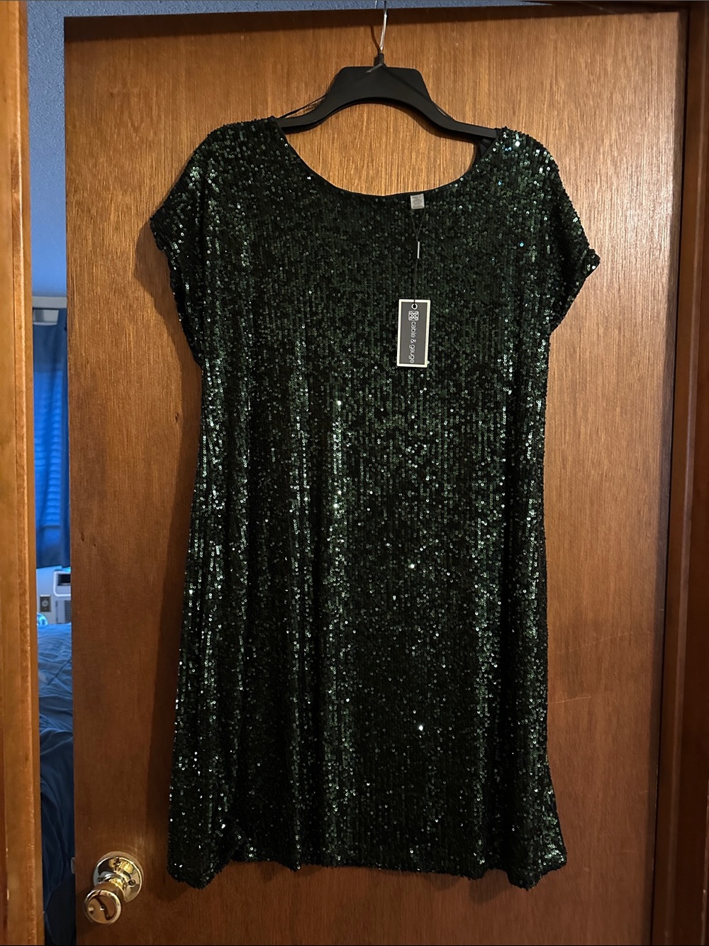 Sequined Green Short Sleeve Dress -